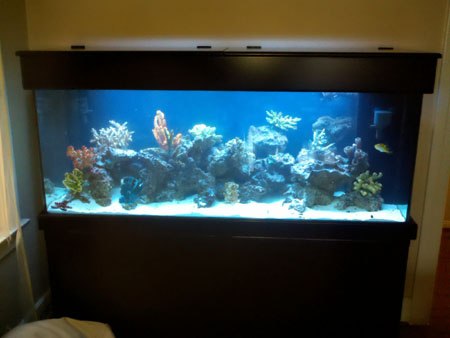 125g Saltwater